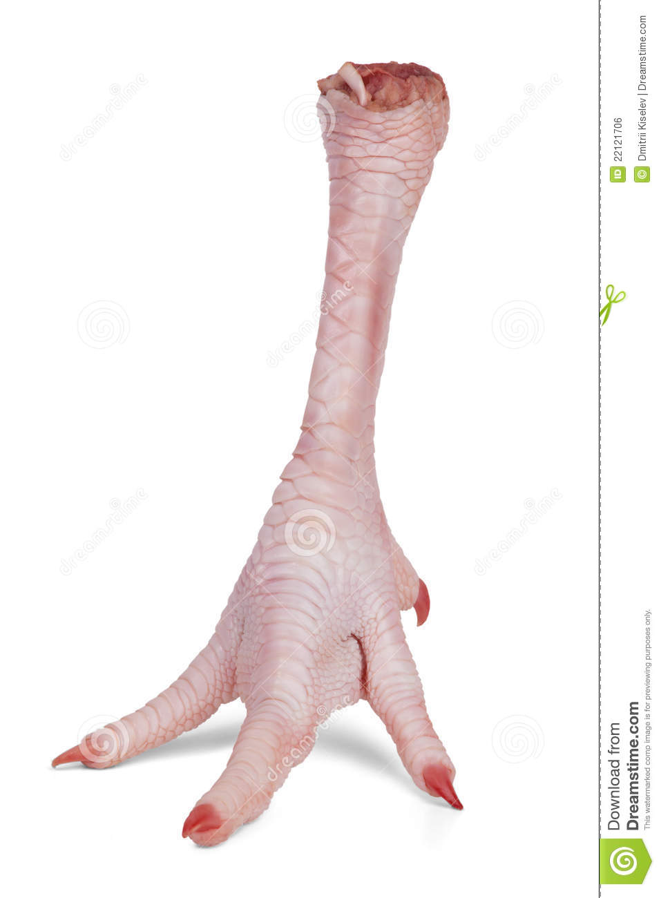 957x1300 Chicken Foot Clipart Free Cliparts Download Images