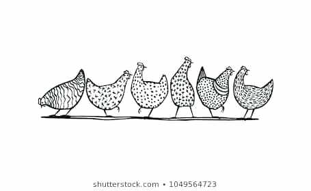 455x280 Draw Chicken