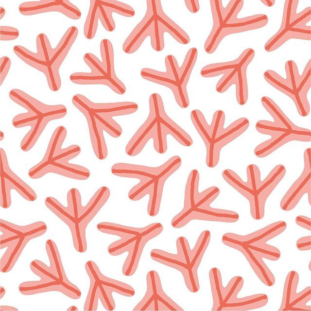 640x640 Chicken Feet Pattern
