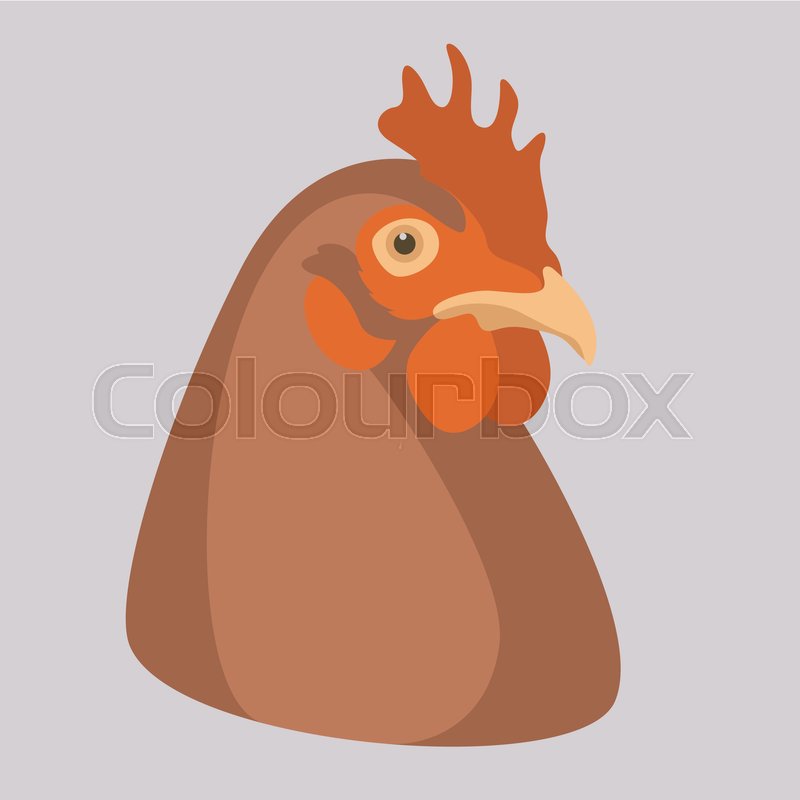 800x800 Chicken Head Vector Illustration Stock Vector Colourbox