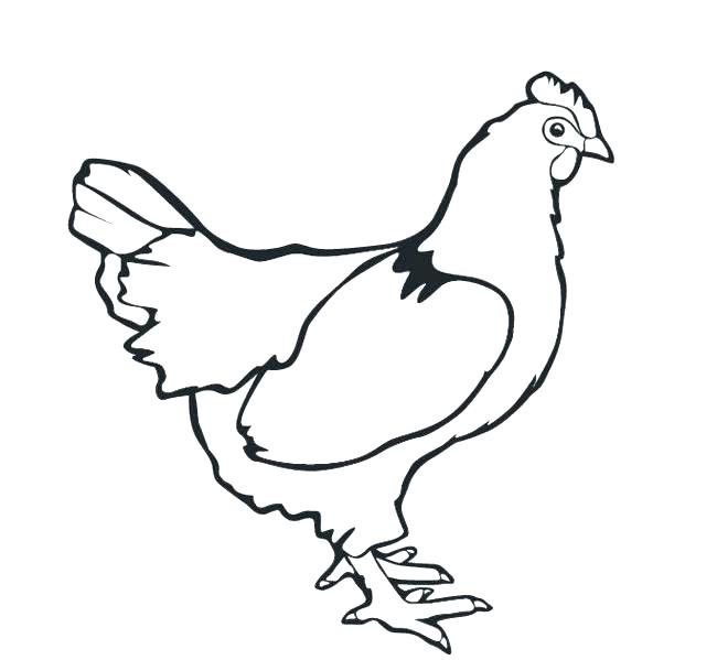 650x599 Download Free Png Chicken Outline Chicken Head Vector Illustration