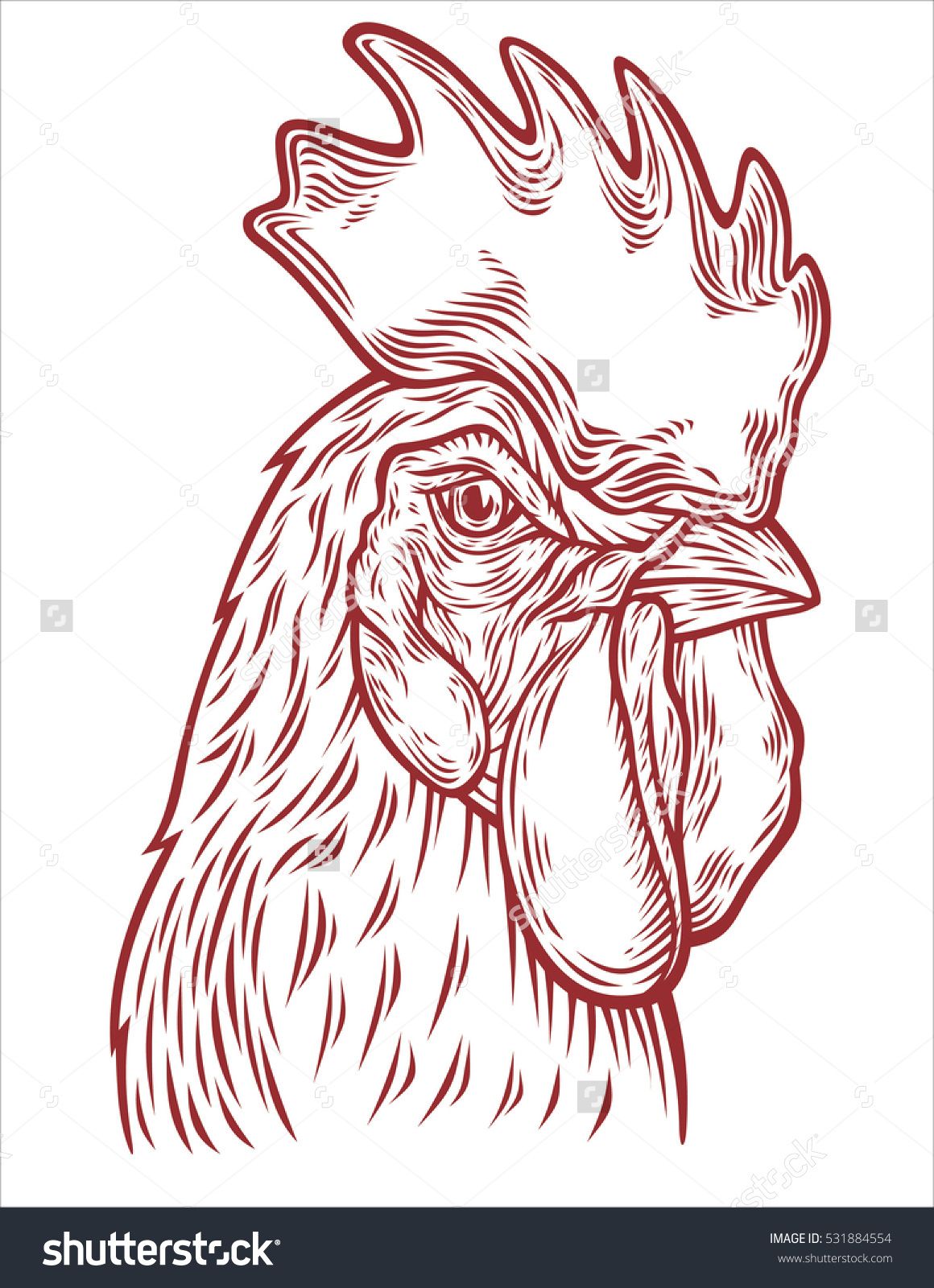 1160x1600 Hand Drawn Rooster Head Vector Illustration Sketch Chicken