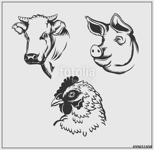 500x487 Heads Of Farm Animals Cow, Pig And Chicken Vector Monochrome