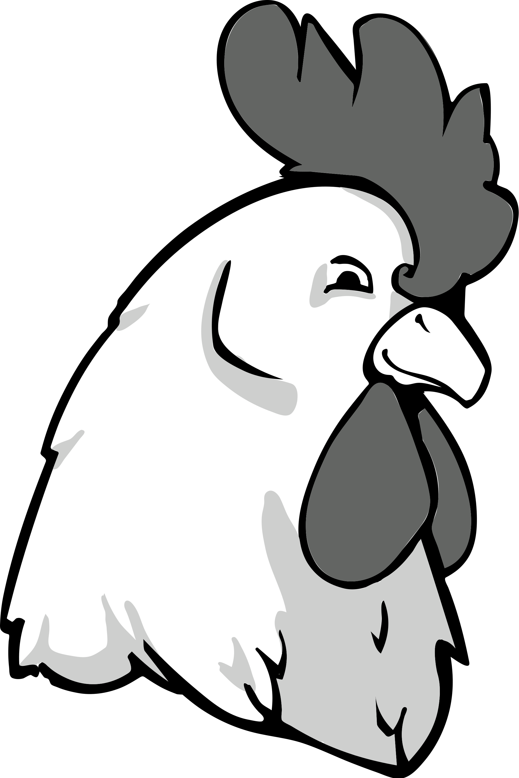 2000x2996 Rooster Bw