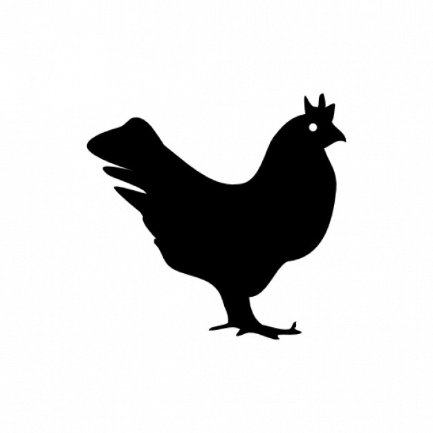 Chicken Symbol Icons Free Download 626x626 Chicken Symbol Icons Free Download