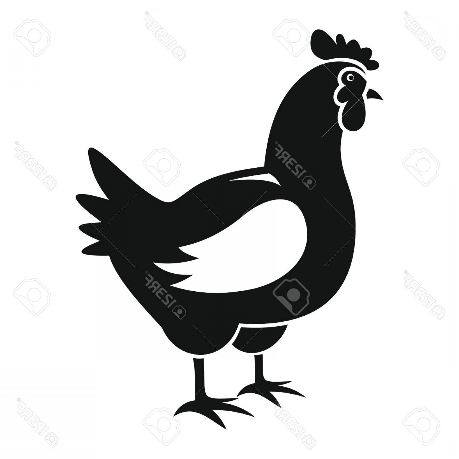 Photostock Vector Chicken Icon In Black Simple Silhouette Style 1560x1560 Photostock Vector Chicken Icon In Black Simple Silhouette Style