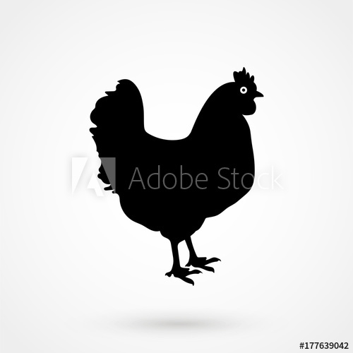 Chicken Icon, Vector Chicken Silhouette, Isolated Chicken 500x500 Chicken Icon, Vector Chicken Silhouette, Isolated Chicken