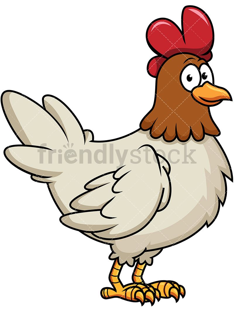800x1067 Chicken Clipart Illustration For Free Download And Use Images