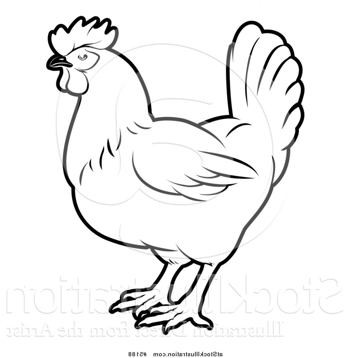 1228x1252 Vector Illustration Of A Black And White Chicken In Profile