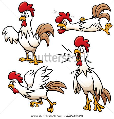 450x470 Vector Illustration Of Cartoon Chicken Character Set Cartoon