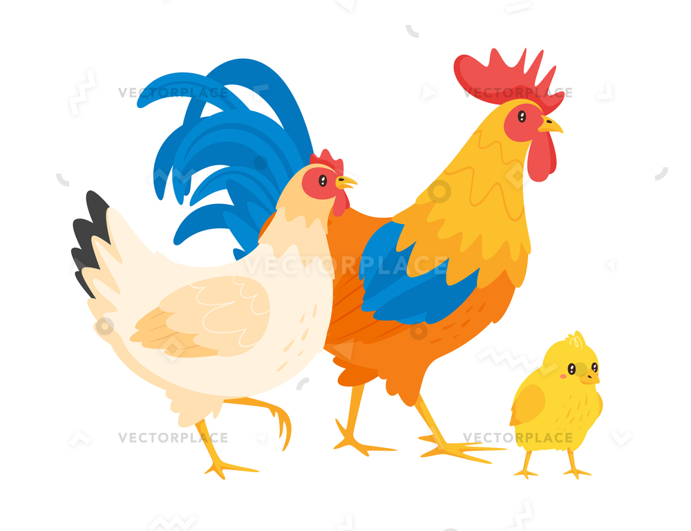 1000x768 Chicken Family Hen Rooster Chick Isolated Vector Illustration