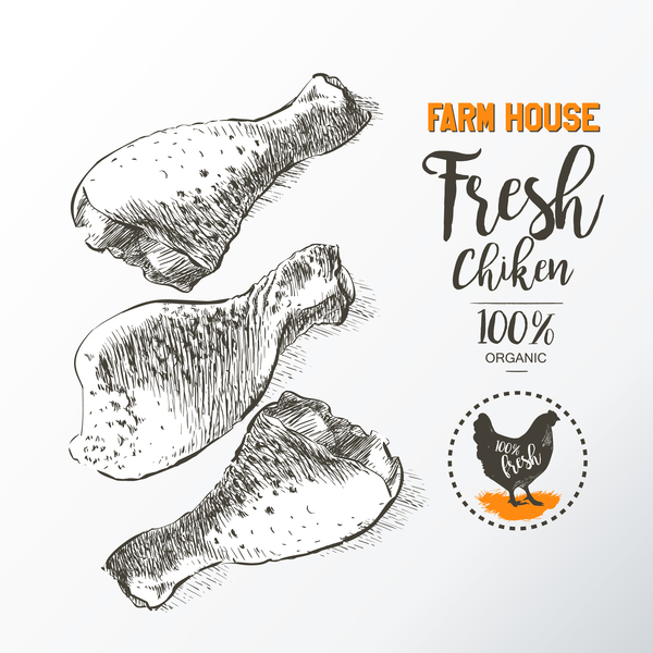 600x600 Fresh Chicken Legs Meat Poster Vector Template Free Download