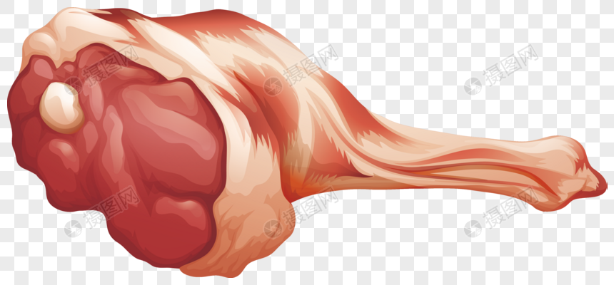 860x400 Cartoon Hand Painted Chicken Leg Vector Elements Png Image Picture