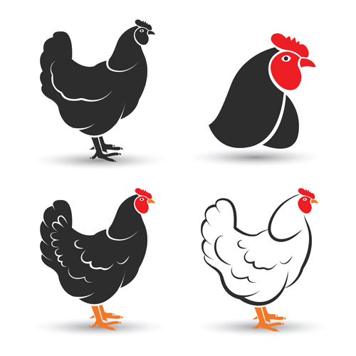 500x500 Creative Chicken Logos Vector Design Free Download