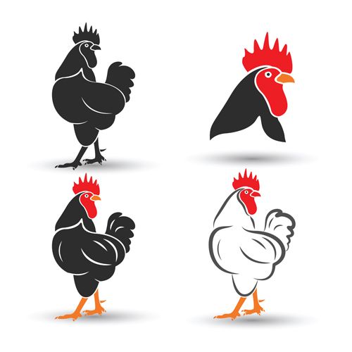 500x500 Icons In Chicken Logo, Vector Design, Logos