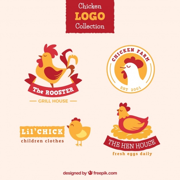 626x626 Chicken Vectors, Photos And Free Download