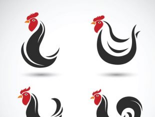 Chicken Logo Vector Free Download