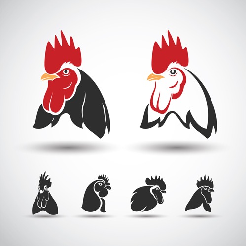 Creative Chicken Logos Vector Design Free Vectors Ui Download 499x499 Creative Chicken Logos Vector Design Free Vectors Ui Download