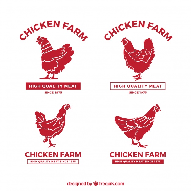 Poultry Farm Logo Design Vector Chicken Logo Design Free Vector 626x626 Poultry Farm Logo Design Vector Chicken Logo Design Free Vector