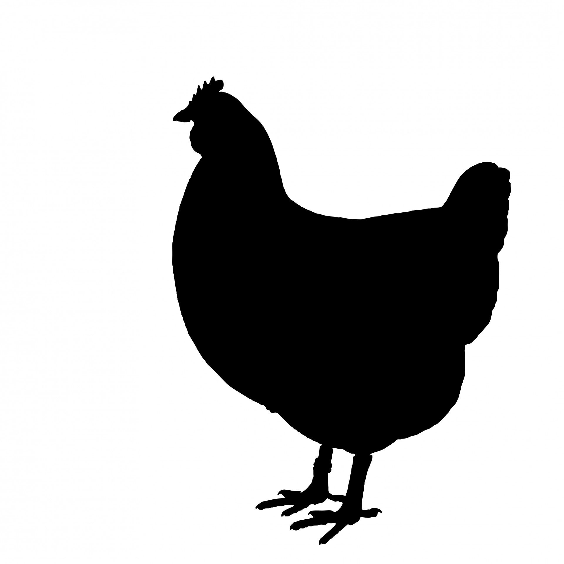 Chicken Silhouette Clipart Free Stock Photo 1920x1920 Chicken Silhouette Clipart Free Stock Photo