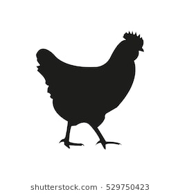Chicken Silhouette Image 260x280 Chicken Silhouette Image