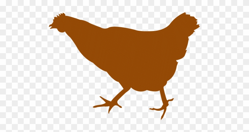 Chicken Silhouette Vector 840x447 Chicken Silhouette Vector