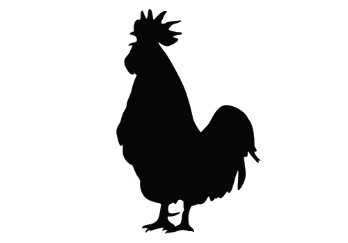 Chicken Silhouette Clip Art 500x350 Chicken Silhouette Clip Art
