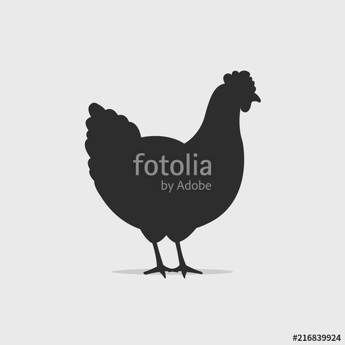 Hen Chicken Silhouette Vector Illustration Stock Image 500x500 Hen Chicken Silhouette Vector Illustration Stock Image
