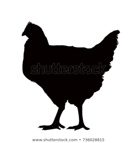 Huge Collection Of 'chicken Silhouette Vector' Download More Than 450x470 Huge Collection Of 'chicken Silhouette Vector' Download More Than
