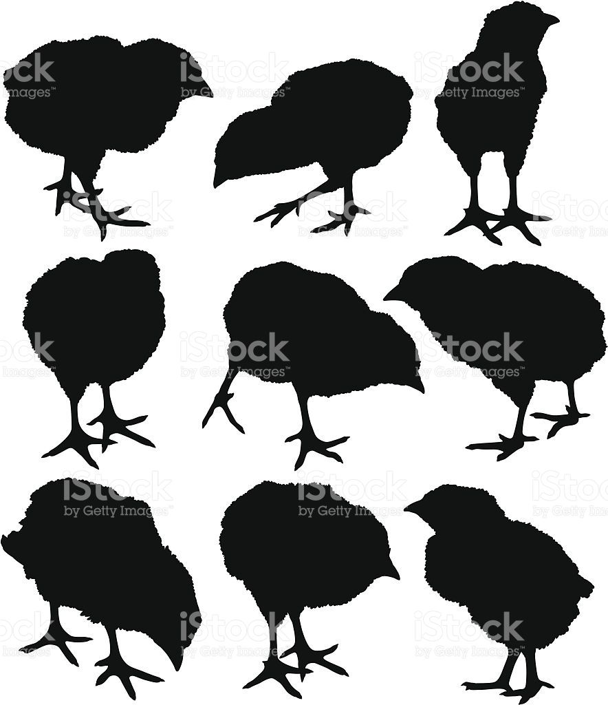 Pin On Do It Yourself 884x1024 Pin On Do It Yourself