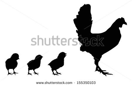 Vector Chicken Silhouette 450x295 Vector Chicken Silhouette