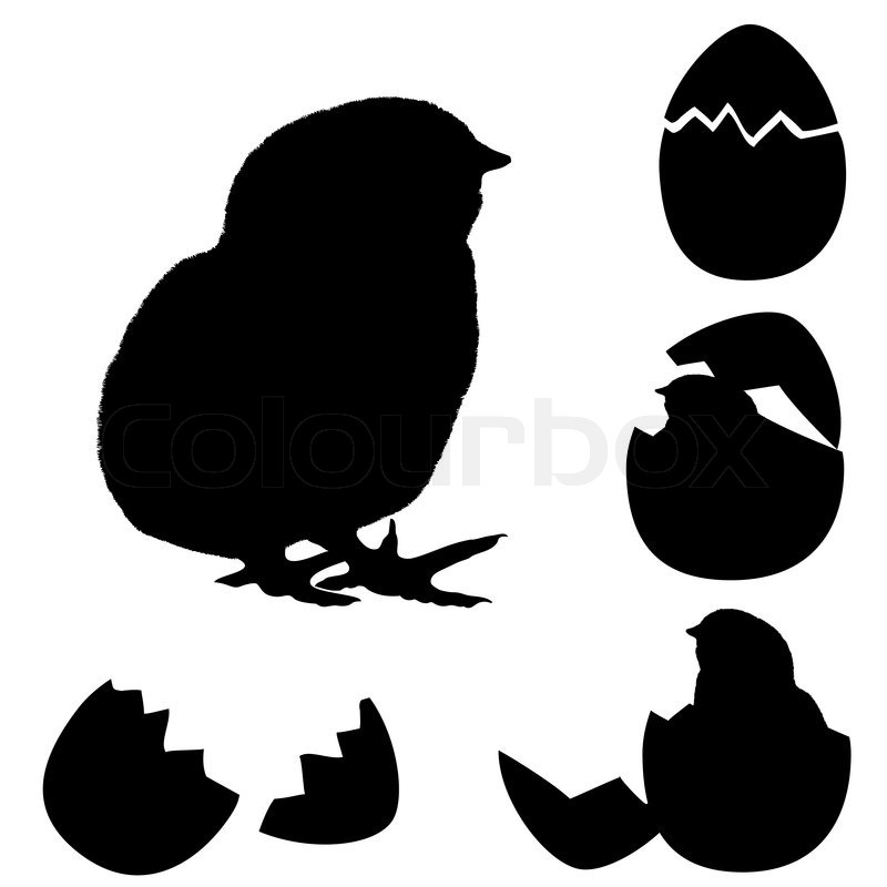 Vector Illustration Of A Chicken Stock Vector Colourbox 800x800 Vector Illustration Of A Chicken Stock Vector Colourbox