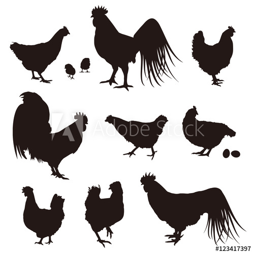 Chicken Silhouette Vector 500x500 Chicken Silhouette Vector