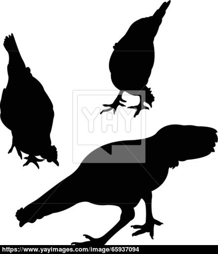 Chicken Silhouette Vector Vector 439x512 Chicken Silhouette Vector Vector