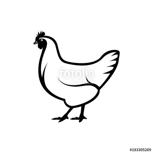 Vector Chicken Silhouette Stock Image And Royalty Free Vector 500x500 Vector Chicken Silhouette Stock Image And Royalty Free Vector