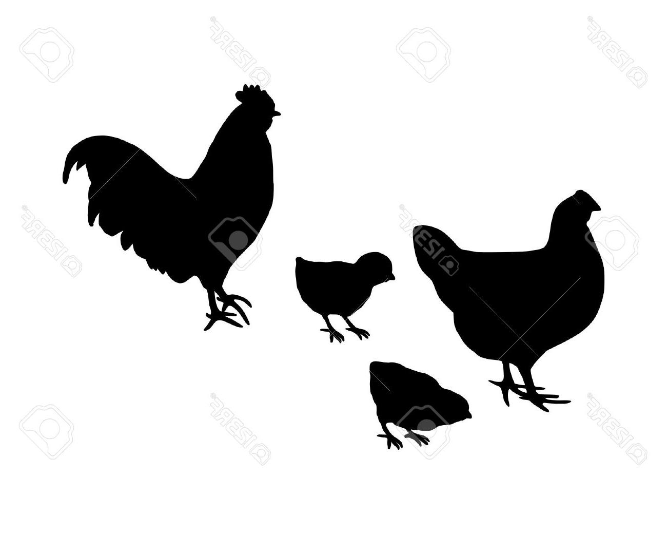 Best Hd Chick Silhouette Vector Images Free Vector Art, Images 1300x1040 Best Hd Chick Silhouette Vector Images Free Vector Art, Images