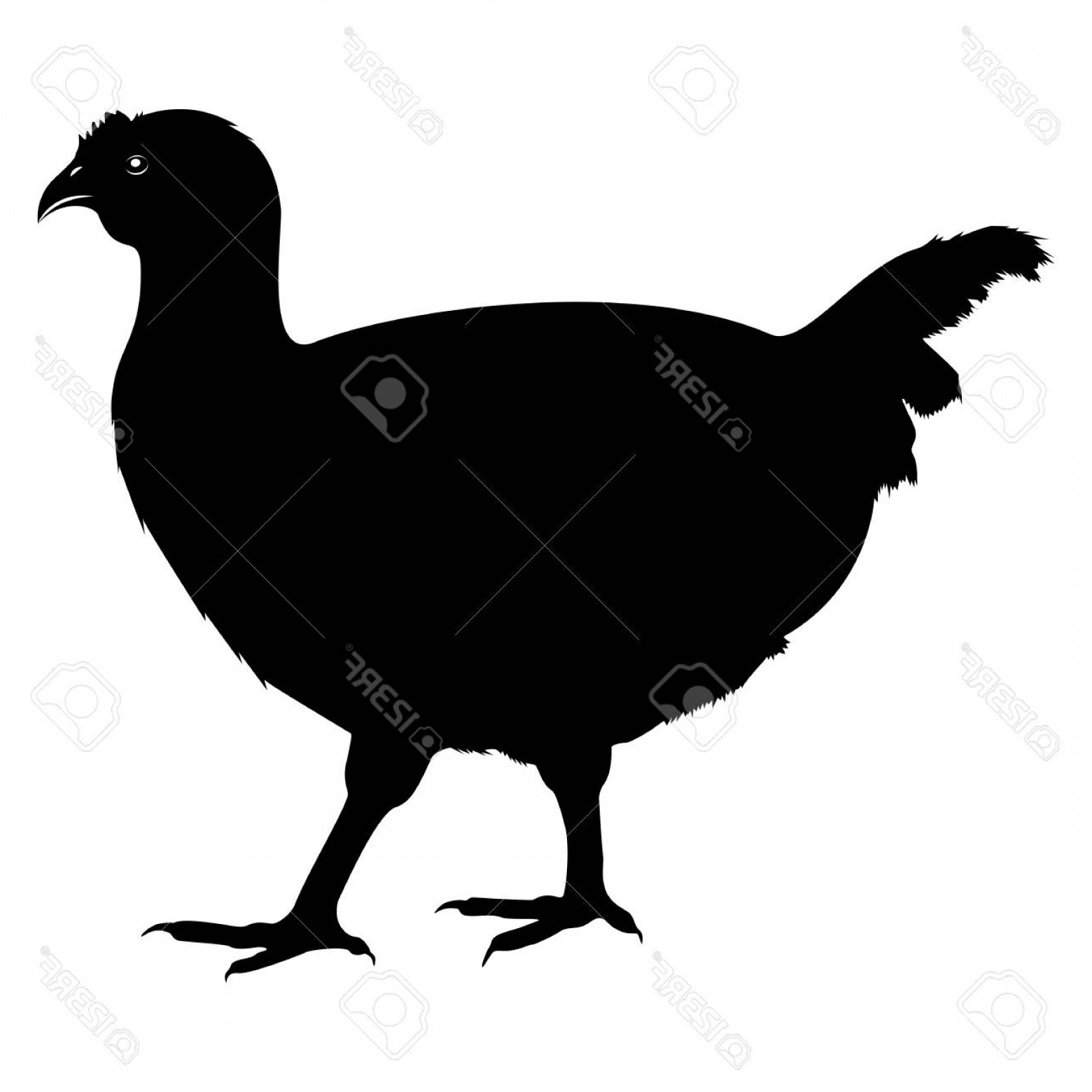 Chick Silhouette Vector Geekchicpro 1560x1560 Chick Silhouette Vector Geekchicpro