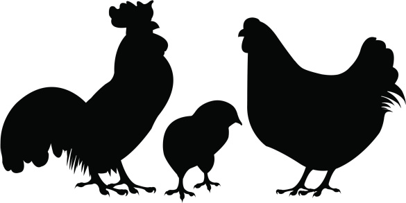 585x293 Chicken Silhouette Clip Art Look At Clip Art Images