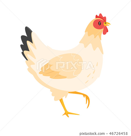 Chicken Vector Illustration 450x468 Chicken Vector Illustration