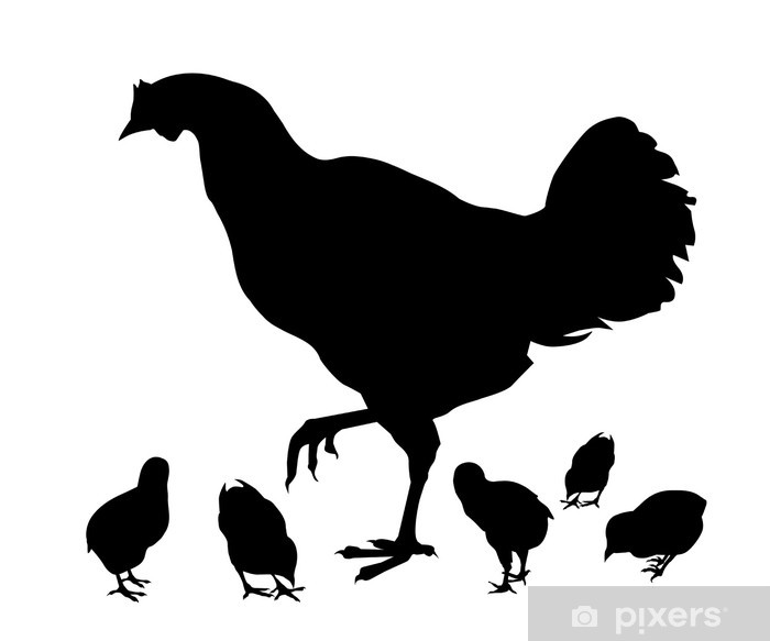 Hen Chicken Vector Wall Mural We Live To Change 700x583 Hen Chicken Vector Wall Mural We Live To Change