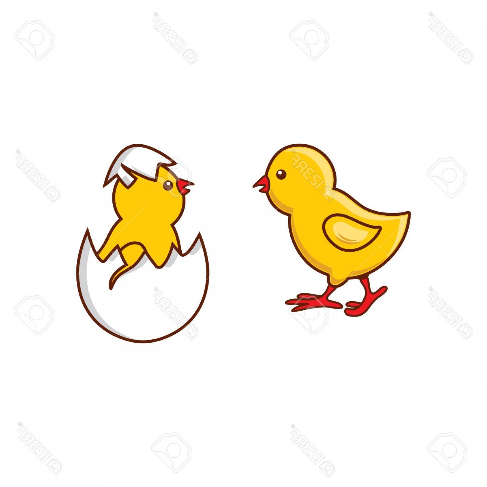 Photostock Vector Vector Flat Cute Baby Chicken Yellow Small Chick 1560x1560 Photostock Vector Vector Flat Cute Baby Chicken Yellow Small Chick