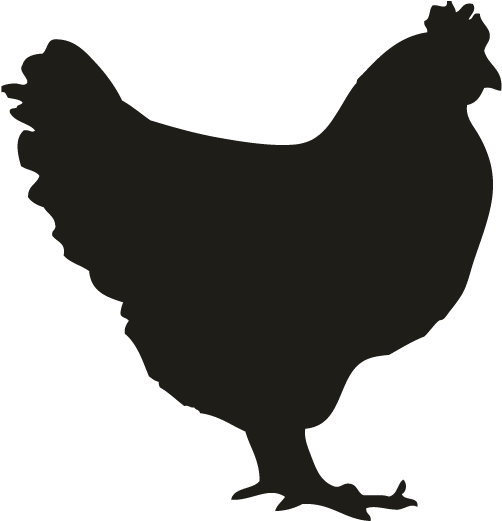 502x521 Chicken Silhouette Free Vector Art