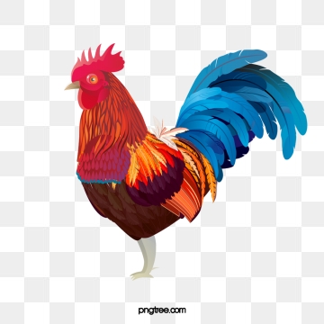 360x360 Chicken Vector, Free Download Chicken Wings, Fried Chicken