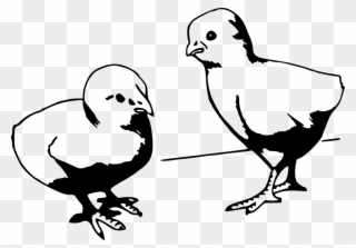 320x223 Chicken Vector Cliparts Buy Clip Art