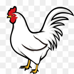 260x260 Fowl Png Fowl Transparent Clipart Free Download