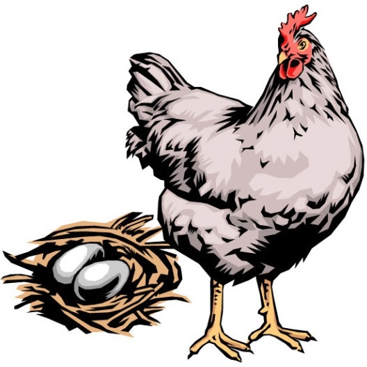 528x528 Hen Vector Free Vector In Coreldraw Cdr