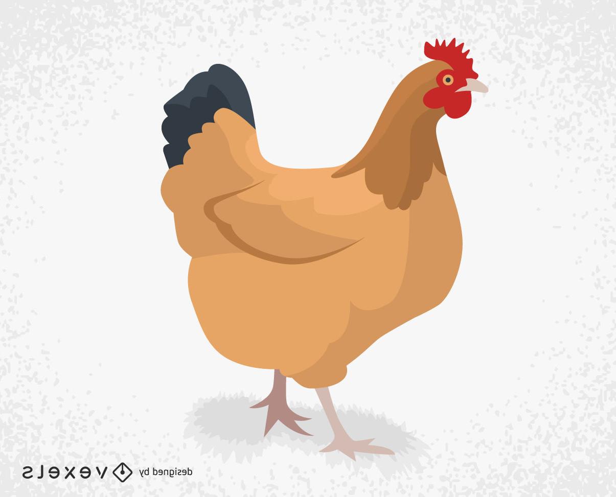 1205x973 Best Chicken Vector Png Image Free Vector Art, Images, Graphics