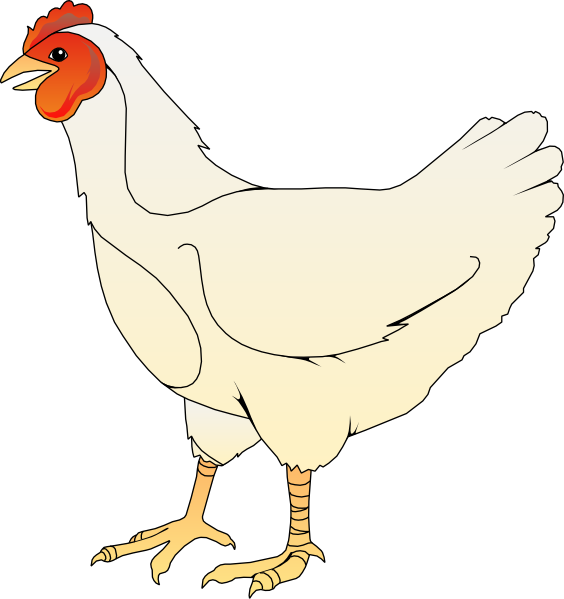 564x599 Chicken Clipart Chicken Clip Art