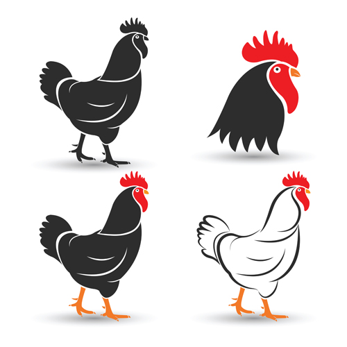 500x500 Creative Chicken Logos Vector Design Free Download