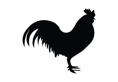 500x350 Home Decor Chicken Vector, Vector Free